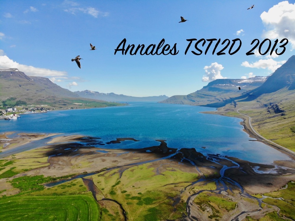Baccalauréat STI2D Antilles Guyane  2013